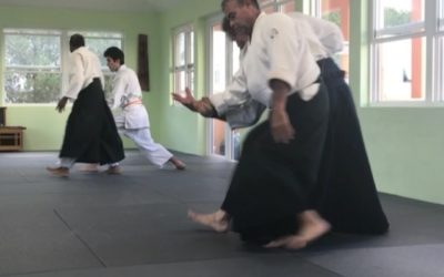 Chris and James #boomerang #aikido #aikikai #bermudaaikikai #usafdojo #blackbelts #martialarts #carribean #dojo