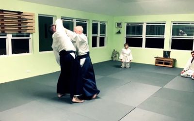 The Basics. Fundamentals. We often try to progress to the fancy stuff, but the basics are the foundation of everything we build on. Here John and Chris show timing, space and movement. #aikido #basics #training #aikido_techiniques #martialArts  #moriheiueshiba #osensei #bermudaaikikai #aikikaiaikido  #sunset #bermuda #usaf