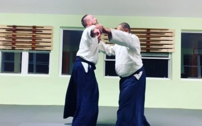 Eugene and Chris demonstrate transitions in kaiten nage.