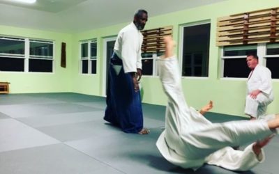 Sensei Collins Smith, founder of Bermuda Aikikai teaches “irimi nage” an entering throw also known as the “20 year technique” as it can take that long for some of us to understand the meaning and the many variants of it. One of our favorites and important basics.