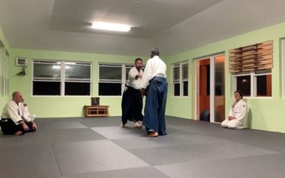 Sensei Smith demonstrates “irimi nage” from a cross-hand grab with a couple of variations. Chris’ job is to hang on!