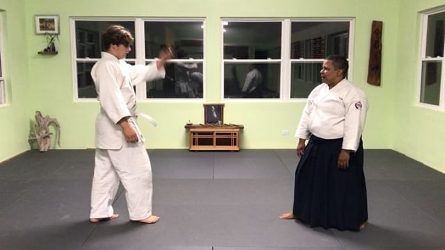 Kim and Ben doing some tanto disarmament #tanto #aikido #aikidoaikikai #bermudaaikikai #disarmament #usafdojo #womaninaikido