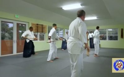 Jo kata at weapons class. Wednesday’s at 6-7pm at Bermuda Aikikai. #bermuda #aikido #jo #practise