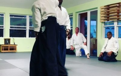 Sensei Smith and @sazanami_aikikai demonstrate sankyo.