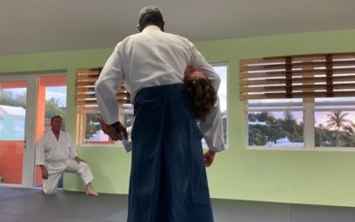 A gorgeous sunset outside the dojo as Sensei Smith demonstrates techniques from tsuki.