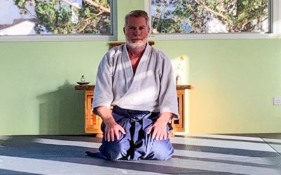 jmandersonbm There is something magical, peaceful and wonderful about the new dojo space. It retains the life that was brought over from the previous location, but it has a little more light and life that adds a special character to it. Basically love it. Visitors always welcome.⁣⁣Thanks to Ryan for the pic @bermuda.aikikai ⁣⁣ #aikido #martialarts #peace #theway #personalgrowth #teaching #learning #BokkenJo