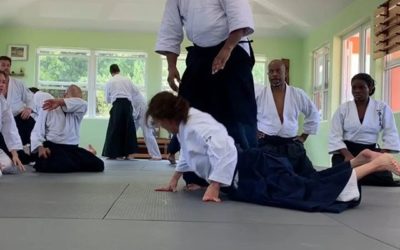 Sensei Waite with sensei Anthea, morotodori ikkyo